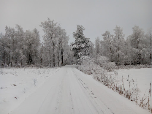 Oripään Auto Oy Oripään Auto Oy (Oripää)