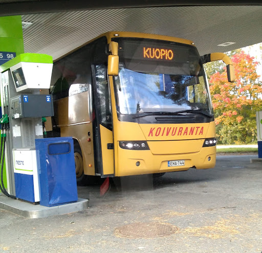 Koivuranta Oy Koivuranta Oy (Konnevesi)