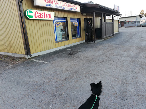 Ämmän Huolto-Osa Ky Ämmän Huolto-Osa Ky (Suomussalmi)