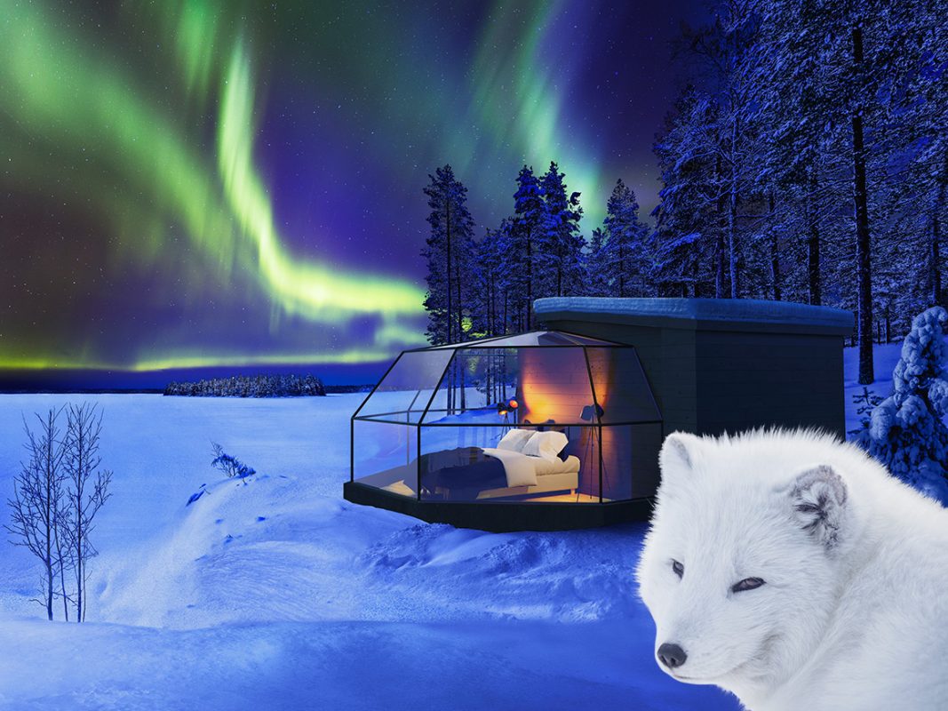 Arctic Fox Igloos Arctic Fox Igloos (Ranua)